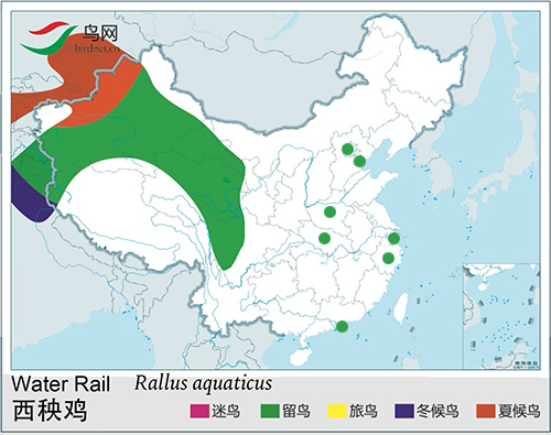 西秧鸡-分布图.jpg